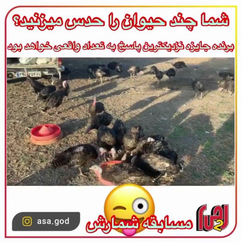 تصویر قبل بارگزاری